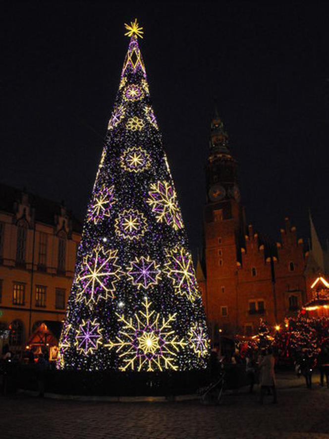 Tak będzie wyglądać choinka na wrocławskim rynku