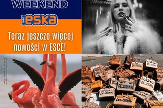 Felix Jaehn & Shouse, Asdis i inni z hitami na zimę w New Music Weekend w Radiu ESKA!