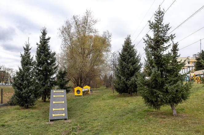 Parki dla psów w Rzeszowie nieczynne od 20 marca