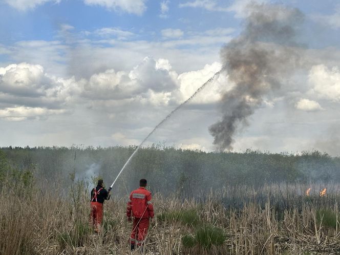 Wołomin: Płonie Natura 2000. Dym widać z wielu kilometrów
