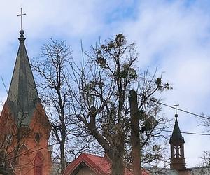Zabytkowy kościół w Aleksandrowie Kujawskim