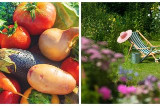 Działkowy slow life. Gotowanie prosto z ogródka