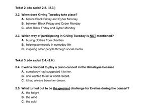 Matura 2025 - angielski.