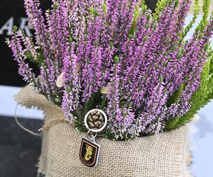 Oto grób gen. Waldemara Skrzypczaka