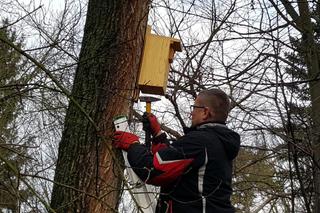  Budki lęgowe zawisły w bydgoskim Ogrodzie Botanicznym UKW w Bydgoszczy