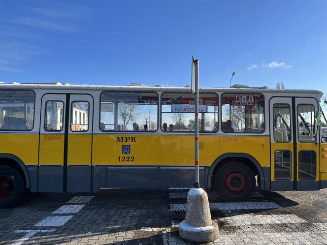 Katarzynki 2023. Prezentacja autobusów w Poznaniu. Zabytkowe autobusy w Poznaniu