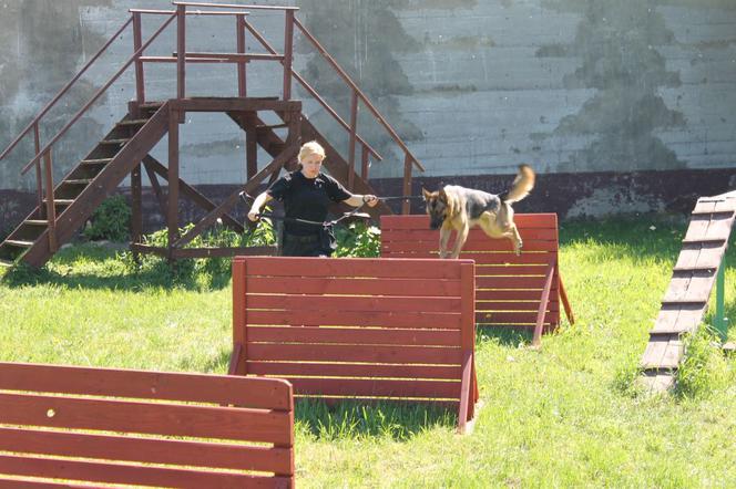 Dwa nowe psy w szczecińskiej policji