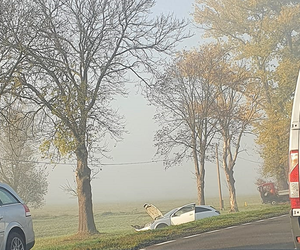 Lubuskie: Gęsta mgła, brak wyobraźni i dwie groźne kolizje o poranku