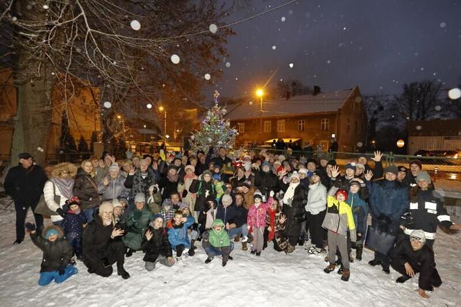 Dzielnicowe choinki w Gdańsku już świecą