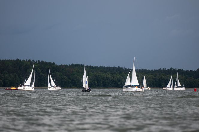 Regaty Architektów 2025