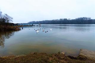 Portowy Fotopunkt Grobla na Golęcinie
