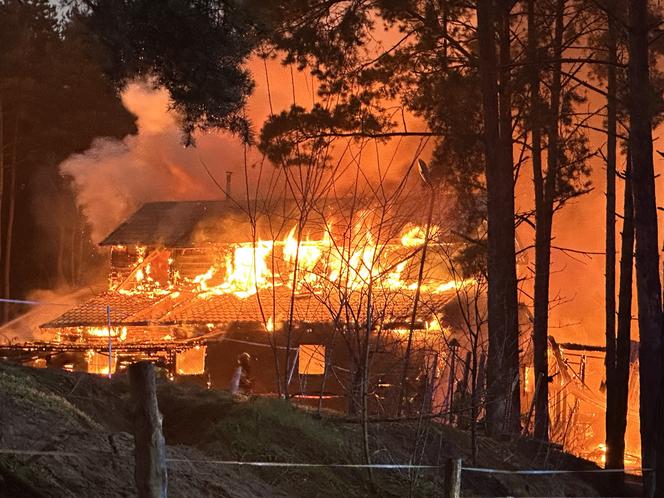 Pożar w stadninie koni w Warszawie