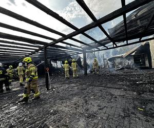 Pożar pawilonów handlowych we Władysławowie