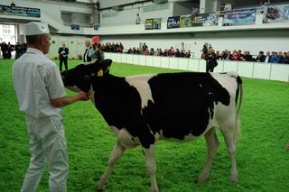 28 Krajowa Wystawa Zwierząt Hodowlanych