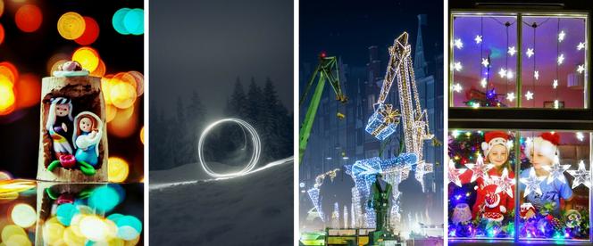 Fragmenty nagrodzonych zdjęć. Od lewej: fot. Magda Jagusiak, Piotr Kędziora, Karol Przybyła, Wiola Bartkiewicz