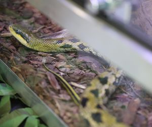 ZooPark ponownie przyciągnął do Targów Lublin tłumy miłośników zwierząt