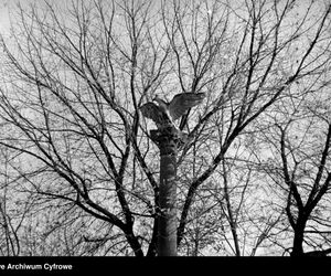 Cmentarze Powązkowskie - 1946-1963