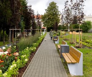 Nowy ogród kieszonkowy w Rzeszowie. Posadzili prawie 1400 roślin