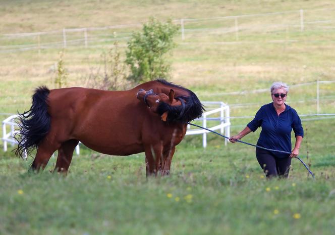 Kluzik gotowa na polityczny galop