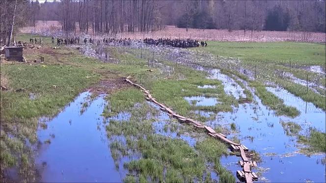 Szturm na granicę. Ponad 220 nielegalnych migrantów próbowało dostać się do Polski
