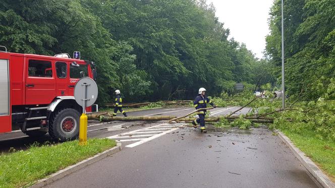 Burze z gradem w Podlaskiem. Powalone drzewo przygniotło samochód [ZDJĘCIA]