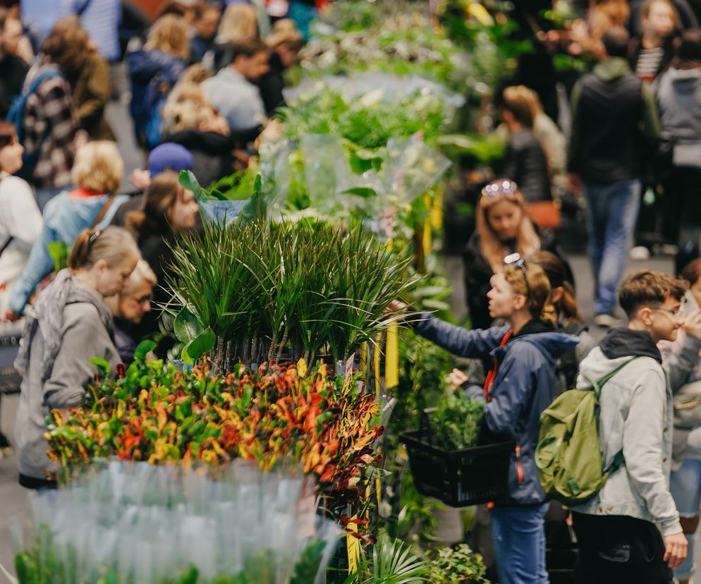 Festiwal Roślin w Lesznie – miłośnicy zieleni spotkają się już w weekend [ZDJĘCIA]