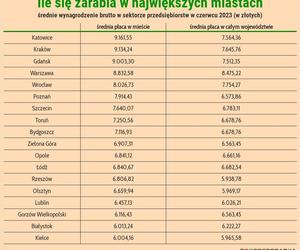 Zarobki w polskich miastach. Najwięcej w...Katowicach NOWE DANE GUS