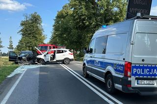 Na polskich drogach ginie średnio pięć osób dziennie. Alarmujące dane