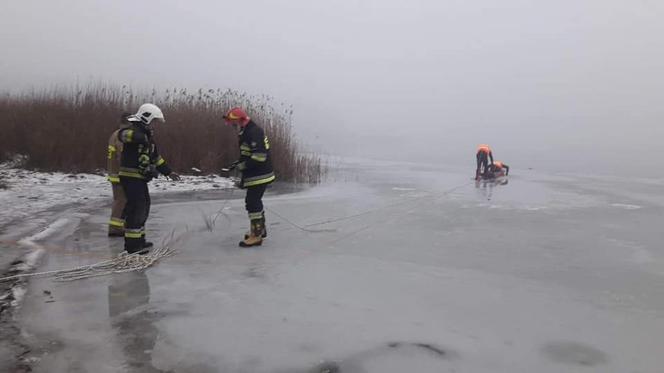 Pies dryfował na krze. Tragedia na jeziorze Lednica