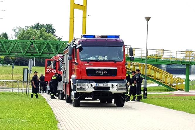 Dwa zastępy straży pożarnej pracuje pod Mostem Lwowskim (zdjęcie poglądowe)