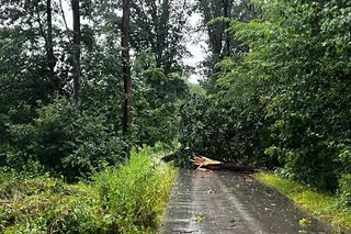 Nawałnice w Małopolsce. Setki interwencji straży pożarnej