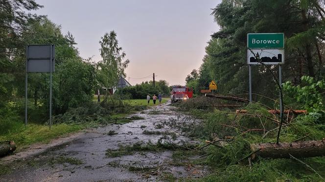 Ostrzeżenie pierwszego stopnia przed burzami z gradem dla Wielkopolski!