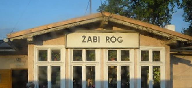 Żabi Róg