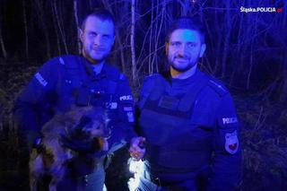 Policjanci uratowali zbłąkanego pieska