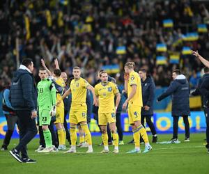 Osiem osób zatrzymanych po meczu Ukraina - Islandia. Fani na boisko wrzucali swoje telefony