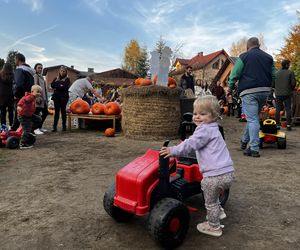 Zagroda 3 siostry w Kamieniu przyciągnęła całe rodziny w ciepły jesienny weekend ZDJĘCIA