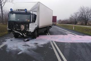 Horror na drodze niedaleko Torunia. Apel do świadków!