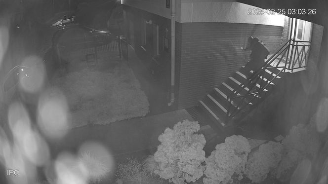 Ktoś rozpylił śmierdzącą substancję na samochód i budynek