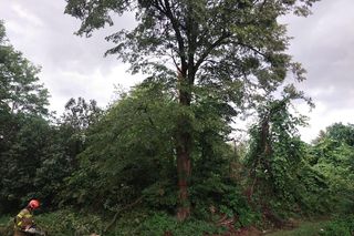 Groźne burze przechodzą przez woj. lubelskie