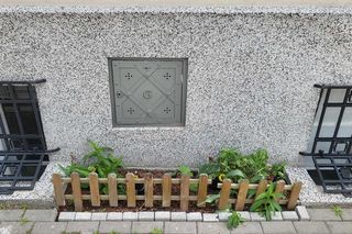 Mieszkanka Mokotowa musi zapłacić karę za posadzenie kwiatów. Kwota powala na kolana! Urząd mówi jasno