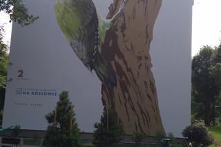 Ptasie murale na Kozłówku