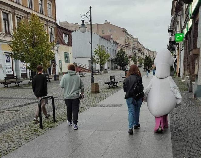 Kampania Pomarańczowa Energia  także w powiatach grójeckim i białobrzeskim 