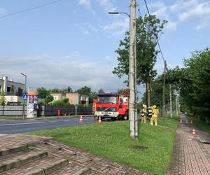 Burze i nawałnice nad Podkarpaciem. Strażacy interweniowali prawie 500 razy [ZDJĘCIA]