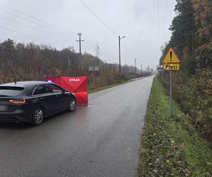 Zwłoki mężczyzny leżały w przydrożnym rowie. Makabryczne odkrycie pod Warszawą. „Pomiędzy torami, a drogą”