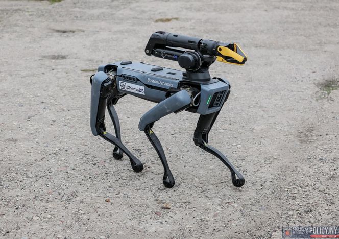 Ma cztery łapy, stalowe serce i właśnie podał łapę policjantowi. „Robopies” nowym hitem w służbach