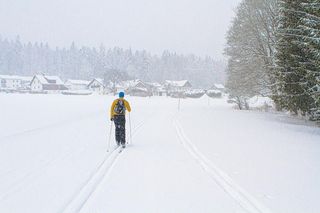 Trasy na narty biegowe na Kaszubach