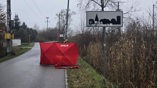 Zwłoki mężczyzny leżały w przydrożnym rowie. Makabryczne odkrycie pod Warszawą. „Pomiędzy torami, a drogą”