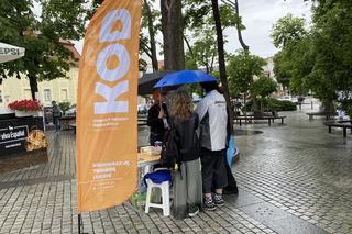 7. Marsz Równości w Zielonej Górze