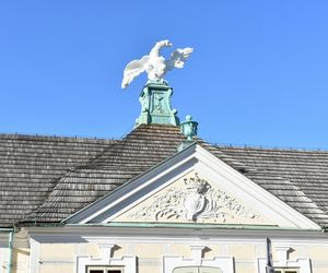 Muzeum Pałac Saski w Kutnie