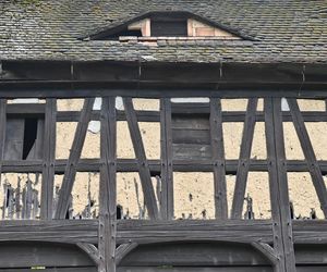 Torhaus - przysłupowy dom bramny z Działoszyna pod Bogatynią